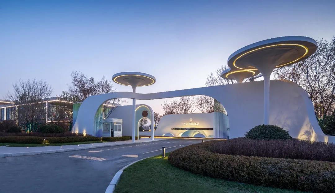 1641869282118733.jpg 44.jpg