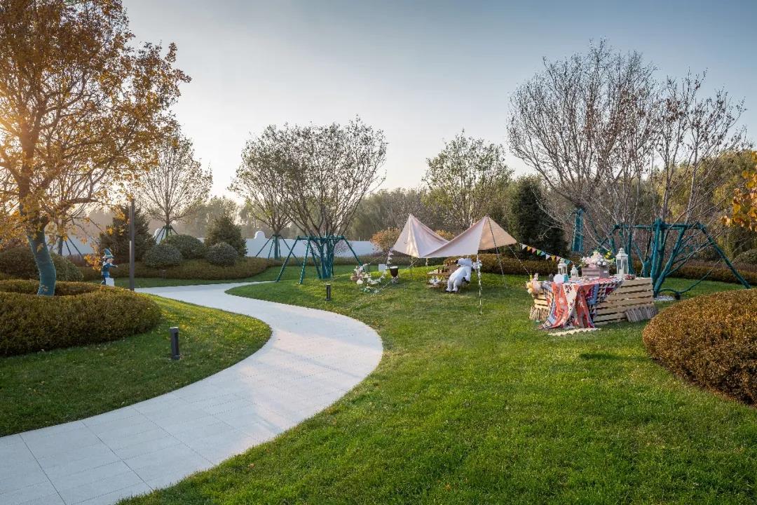 1641869416356817.jpg 77.jpg