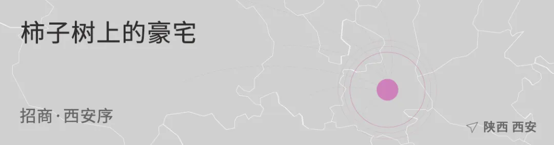 1734338951313534.jpg 1734338937982.jpg