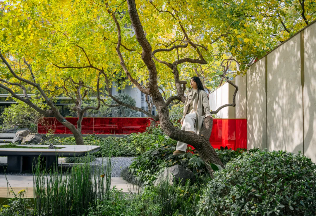 1734339062947422.jpg 1734339054655.jpg