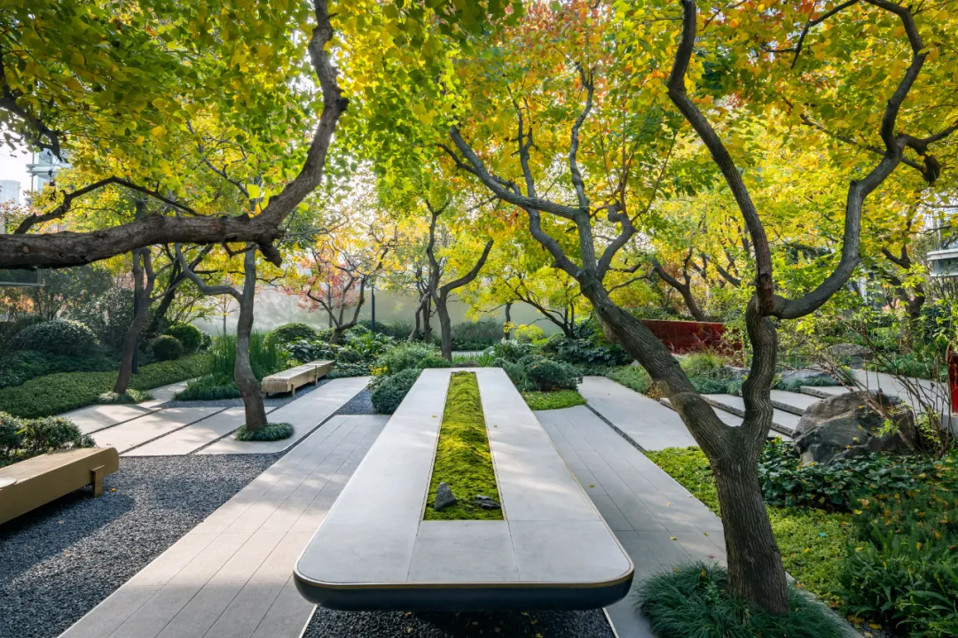 1734339101192802.jpg 1734339089735.jpg