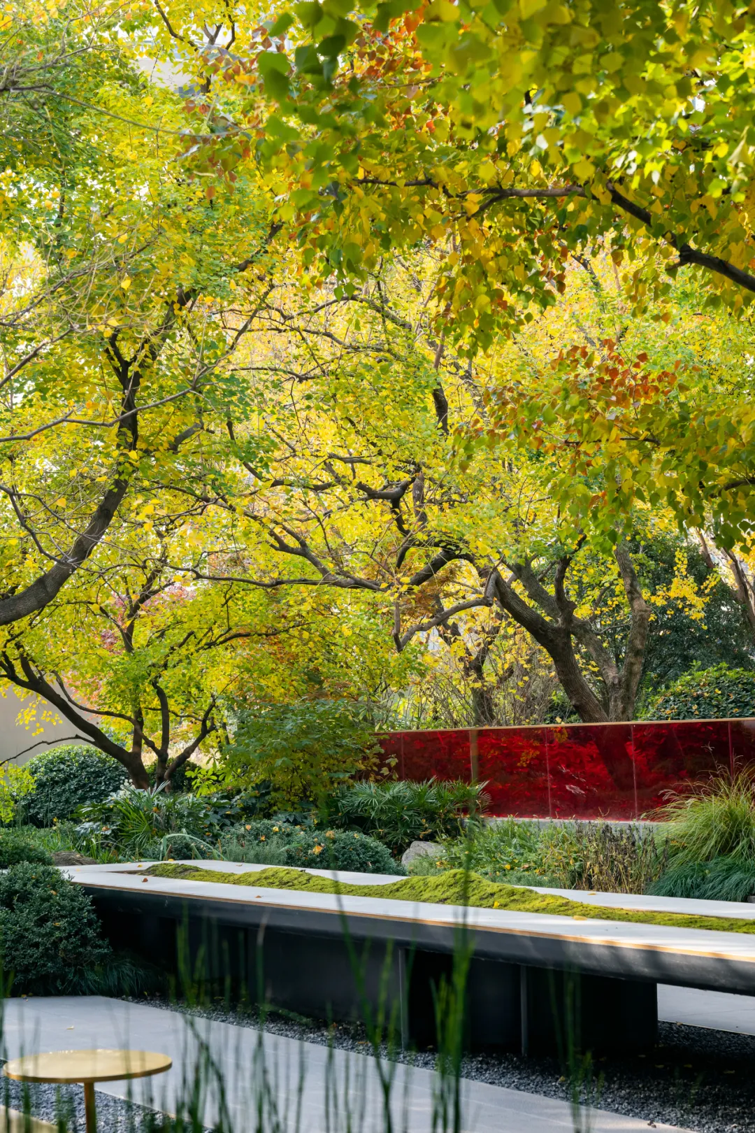 1734339123162633.jpg 1734339107300.jpg