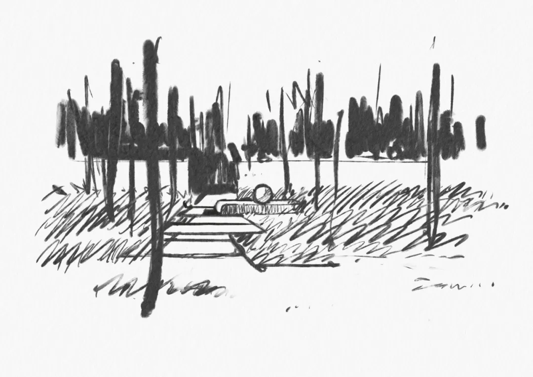 1734339166164207.jpg 1734339156760.jpg