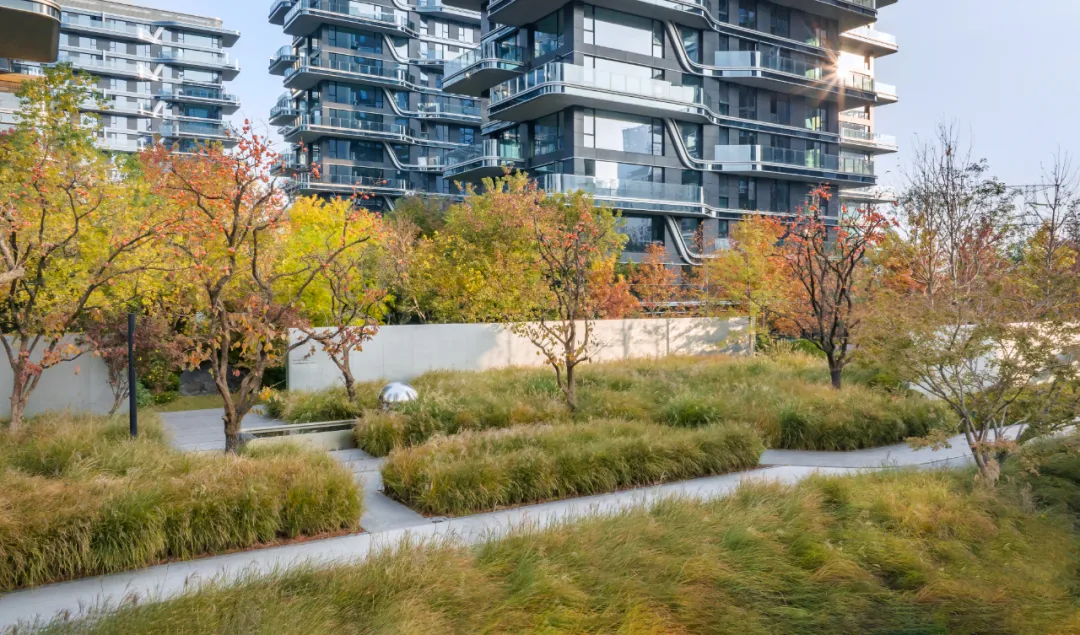 1734339188145434.jpg 1734339174510.jpg