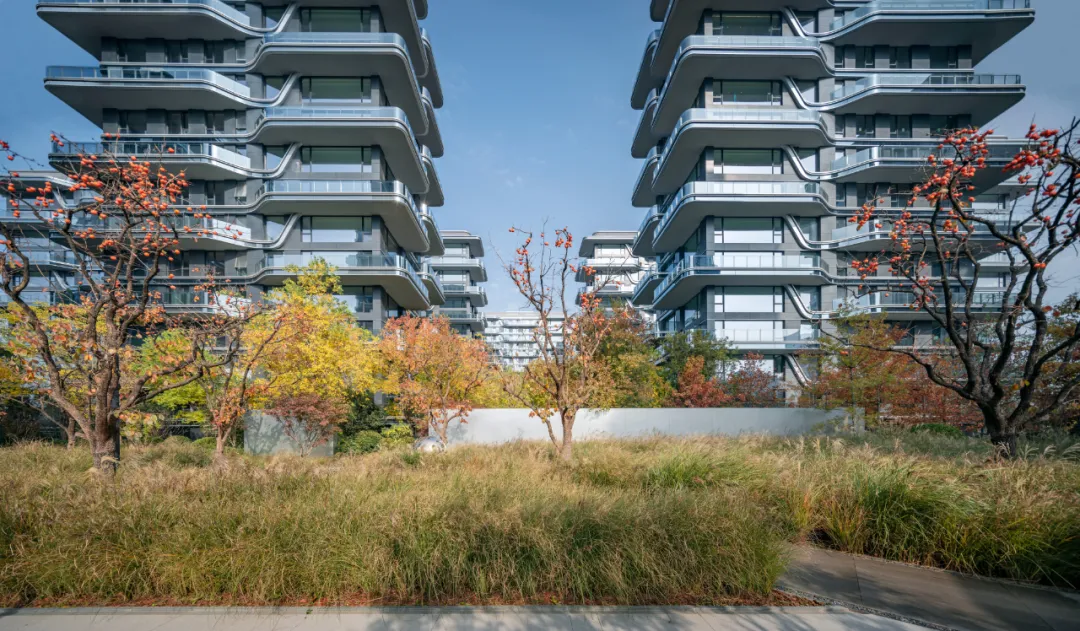 1734339202212605.jpg 1734339192230.jpg