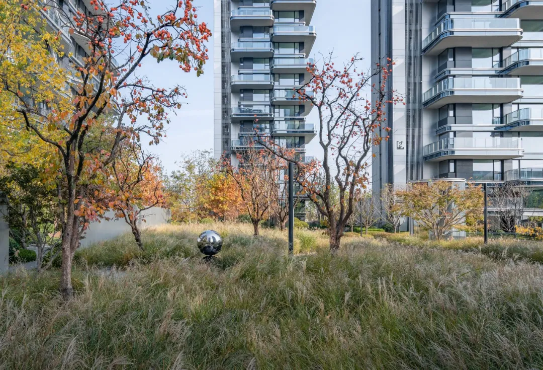 1734339215122751.jpg 1734339205335.jpg