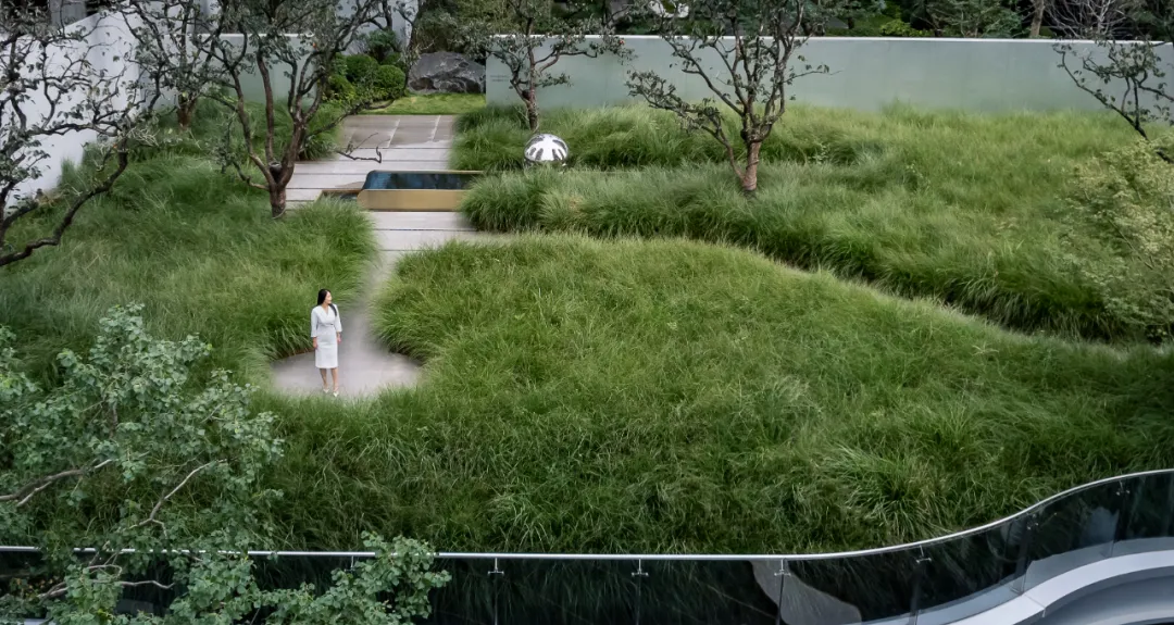 1734339228148798.jpg 1734339218610.jpg