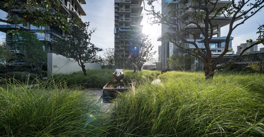 1734339240192950.jpg 1734339230652.jpg