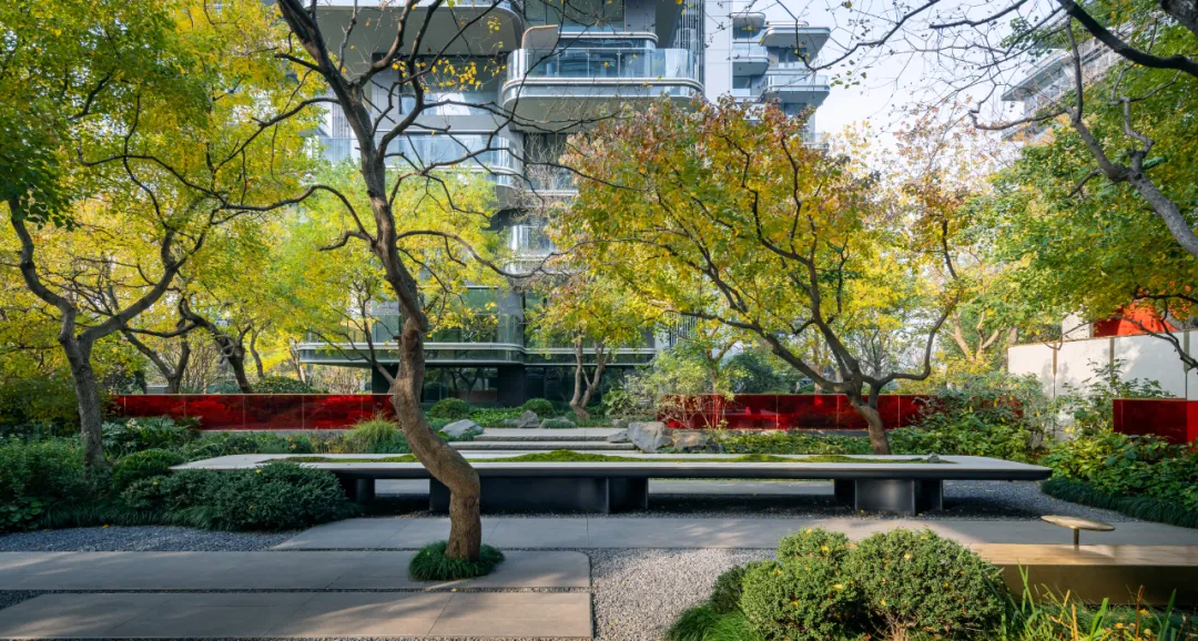 1734339366108573.jpg 1734339281293.jpg