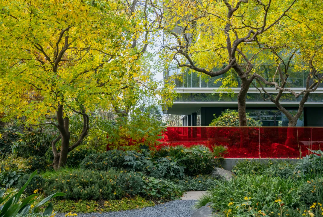 1734339370175046.jpg 1734339284270.jpg