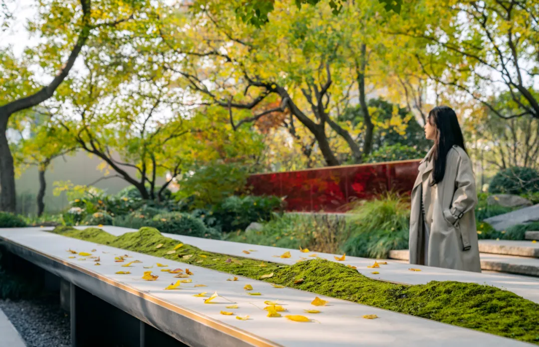 1734339385506900.jpg 1734339305462.jpg