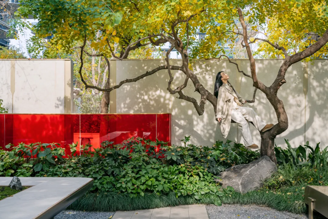 1734339389145962.jpg 1734339310566.jpg