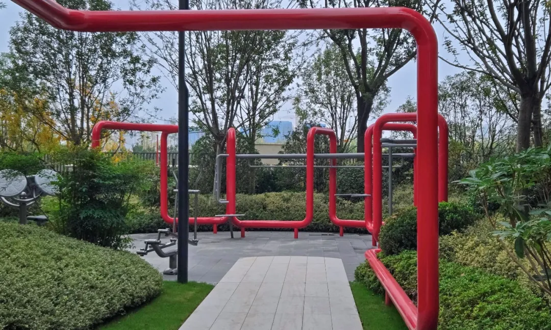 1734339476600135.jpg 1734339422336.jpg