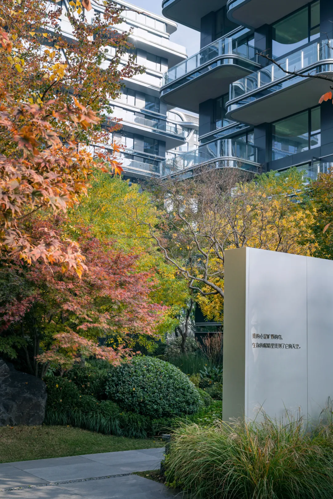 1734339507202068.jpg 1734339436135.jpg