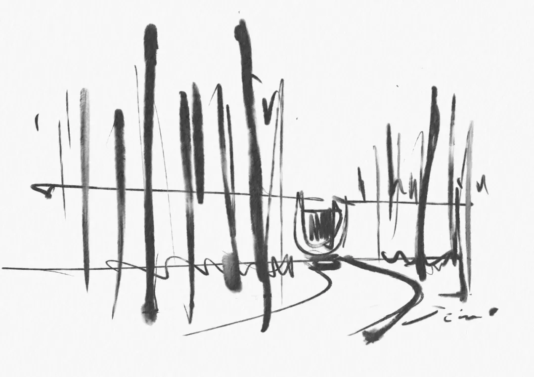 1734339518903496.jpg 1734339440750.jpg