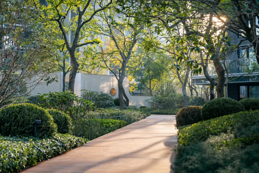 1734339525397594.jpg 1734339444040.jpg