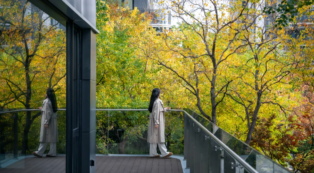 1734339538202749.jpg 1734339453935.jpg