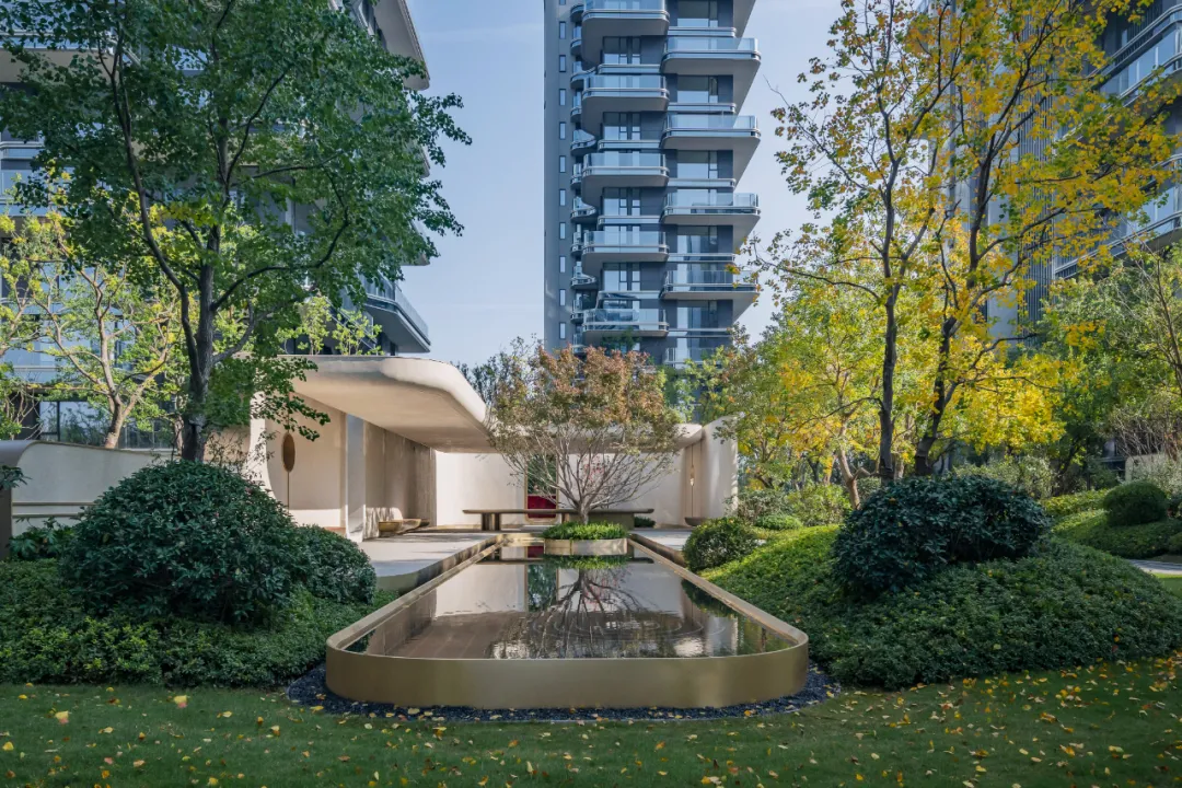 1734339550157021.jpg 1734339459130.jpg