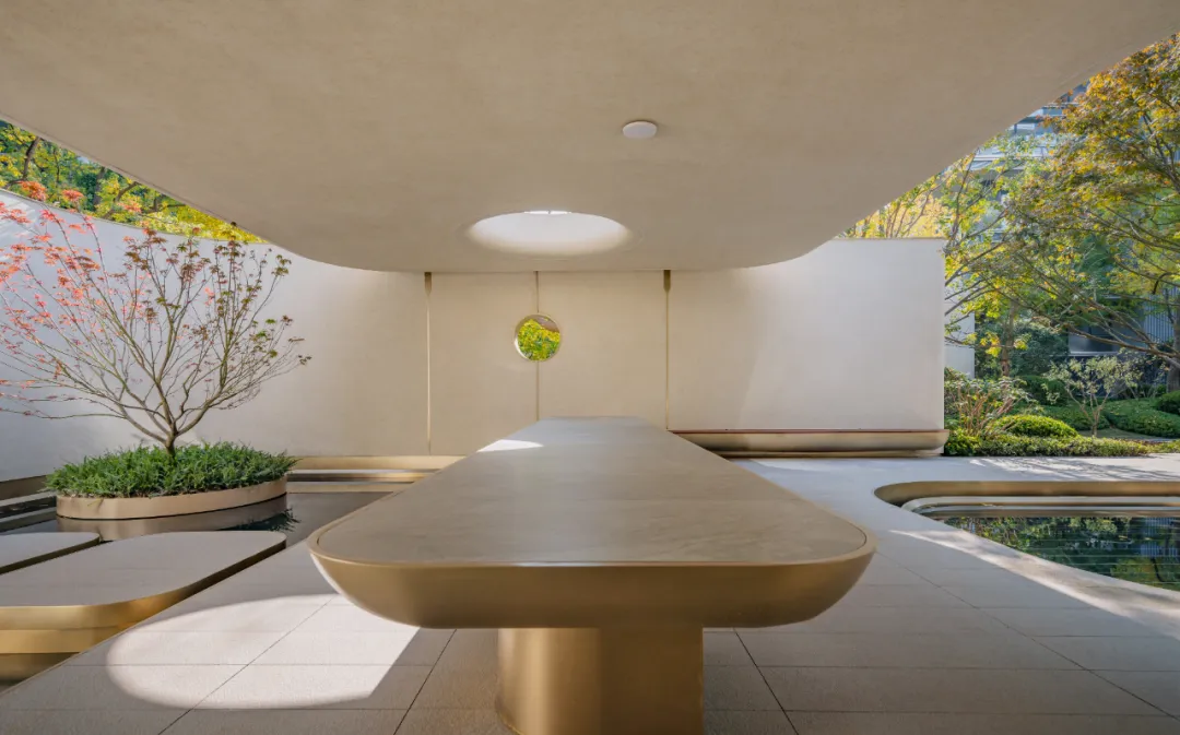 1734339598143094.jpg 1734339552350.jpg