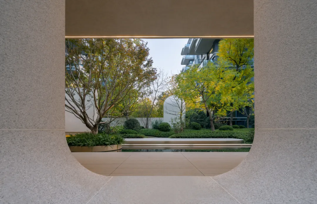 1734339641253602.jpg 1734339587568.jpg