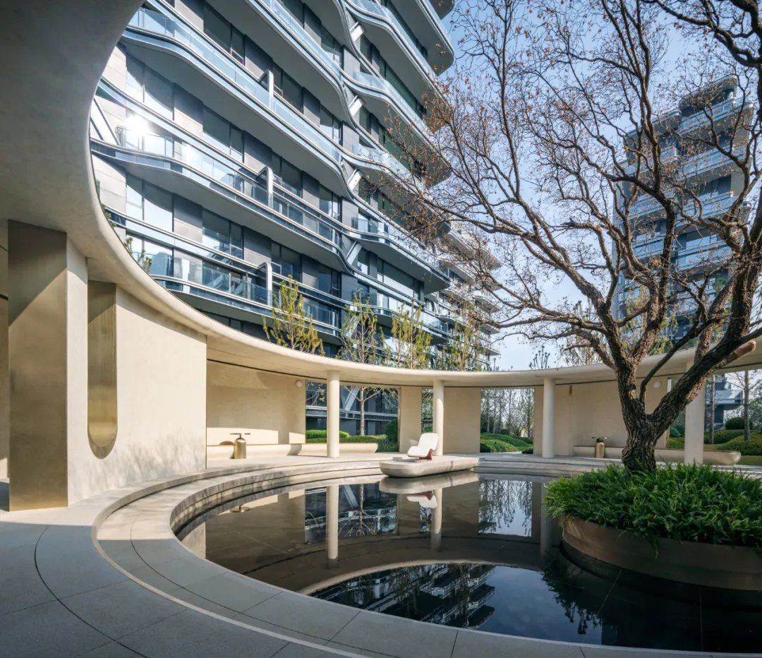 1734339738103896.jpg 1734339655453.jpg