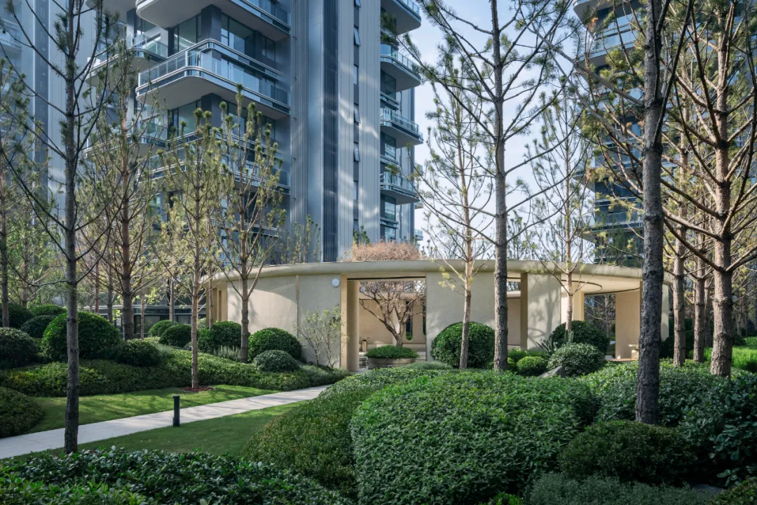 1734339749917992.jpg 1734339664275.jpg