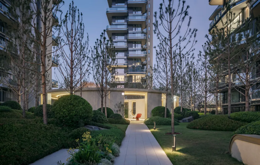 1734339766116256.jpg 1734339679550.jpg