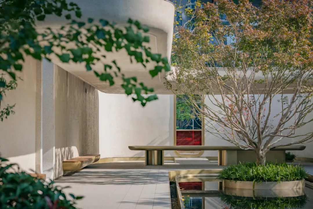 1734339776176188.jpg 1734339692620.jpg