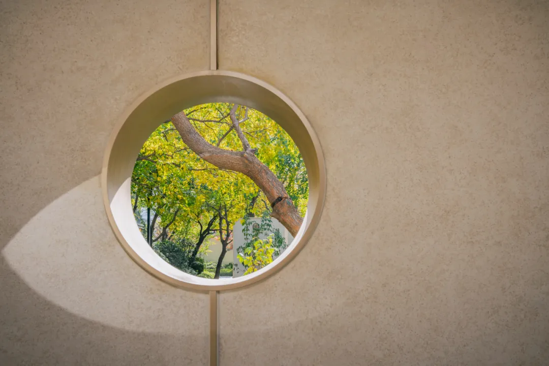 1734339798186425.jpg 1734339792415.jpg