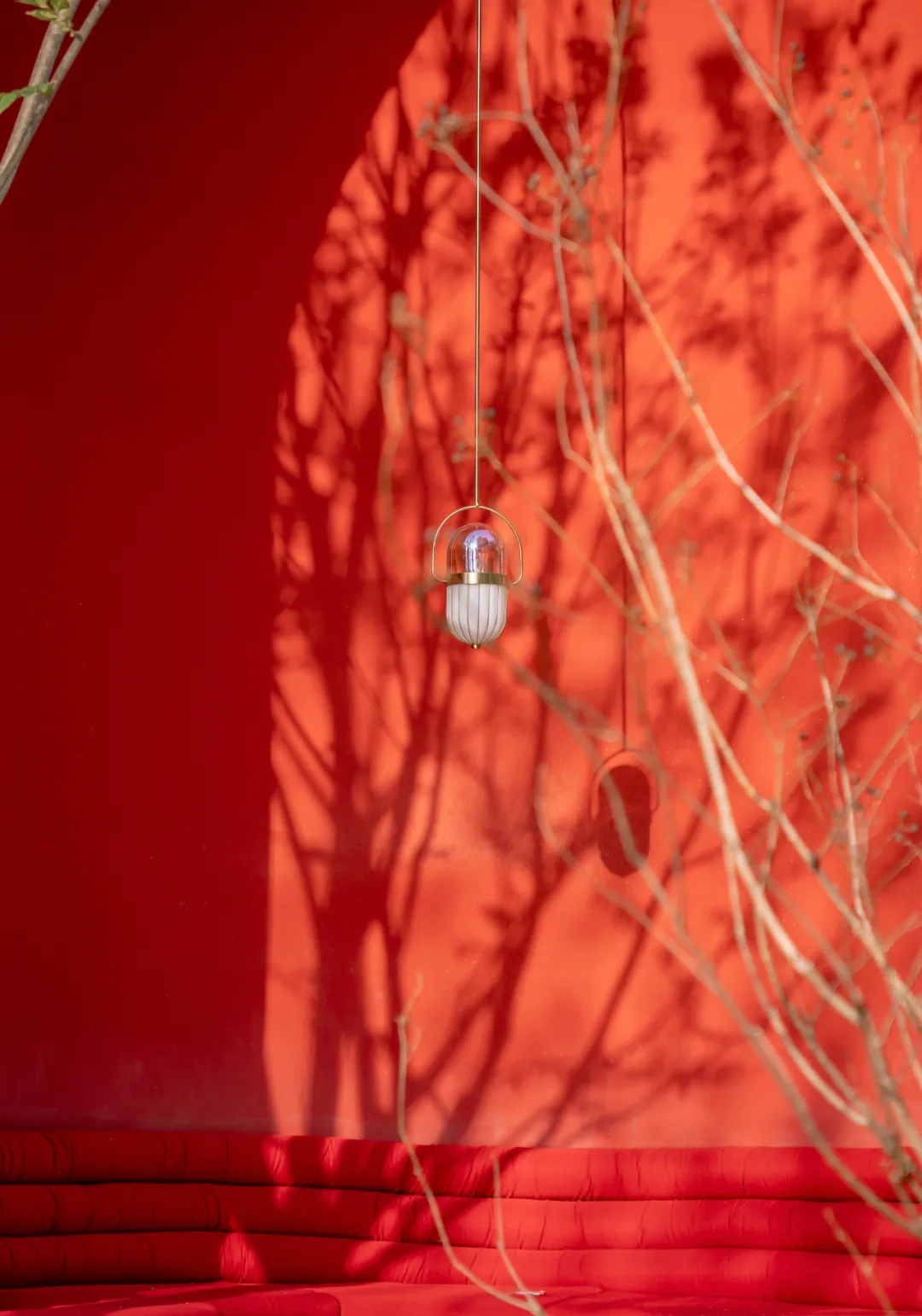 1734341950113939.jpg 1734341932701.jpg