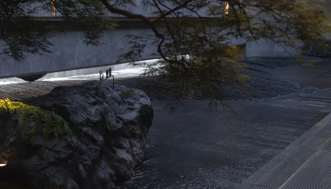 1734577761289741.jpg 1734577663067.jpg