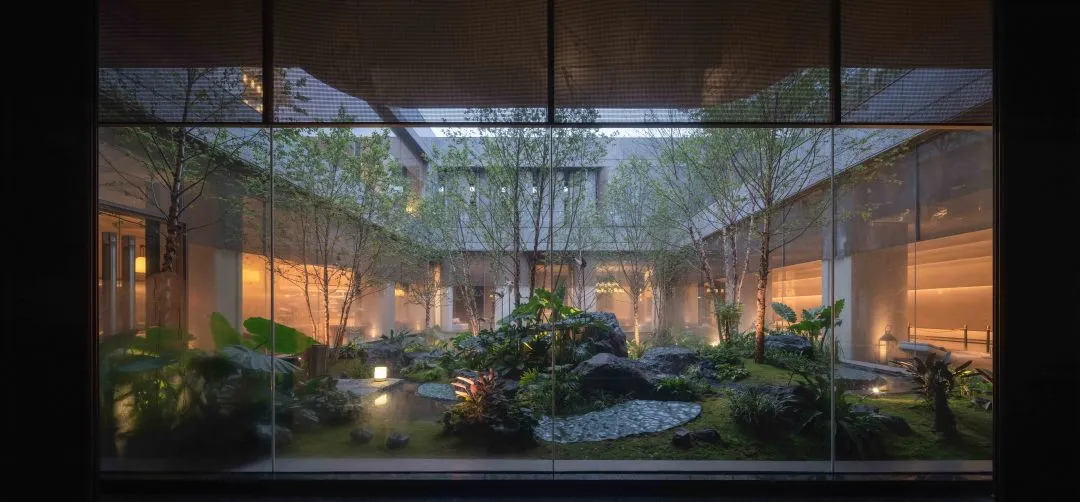 1734577776297787.jpg 1734577680242.jpg