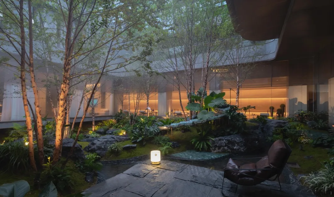 1734577782214701.jpg 1734577683295.jpg