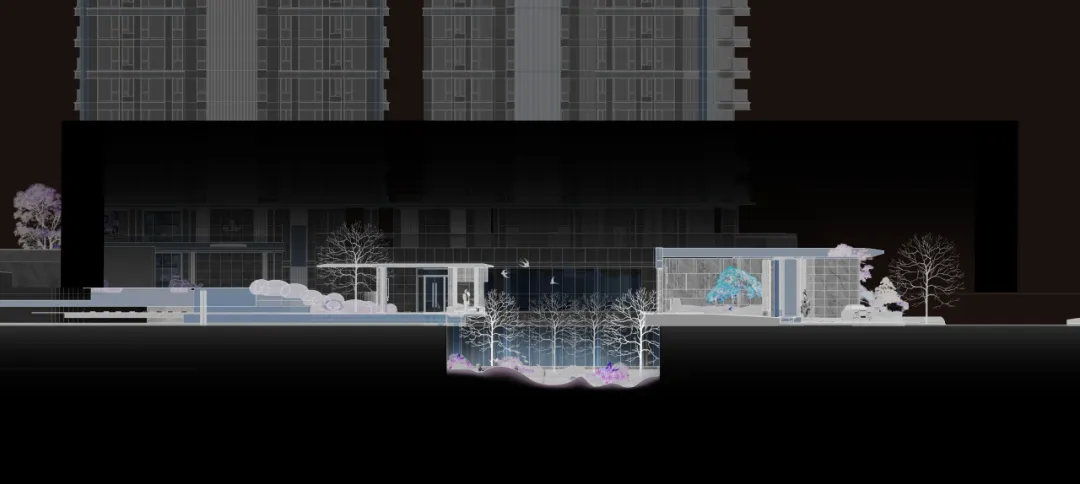 1734577799124690.jpg 1734577688662.jpg