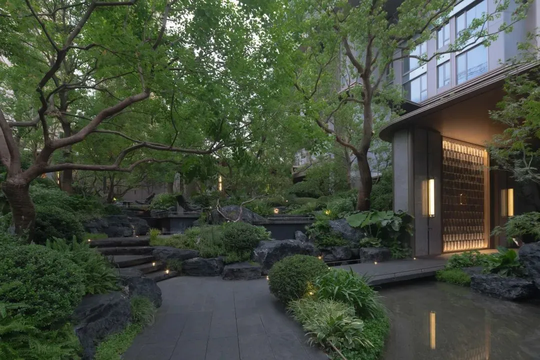 1734578344928816.jpg 1734578282195.jpg