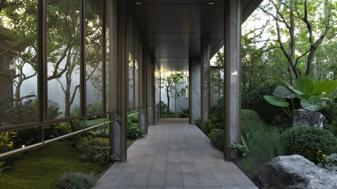 1734578403296558.jpg 1734578358242.jpg