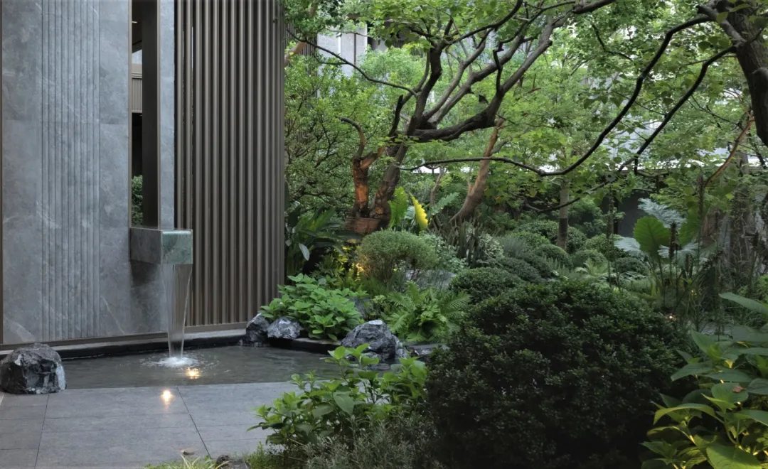 1734578408201159.jpg 1734578360881.jpg