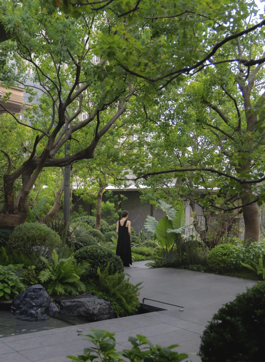 1734578415163694.jpg 1734578365469.jpg