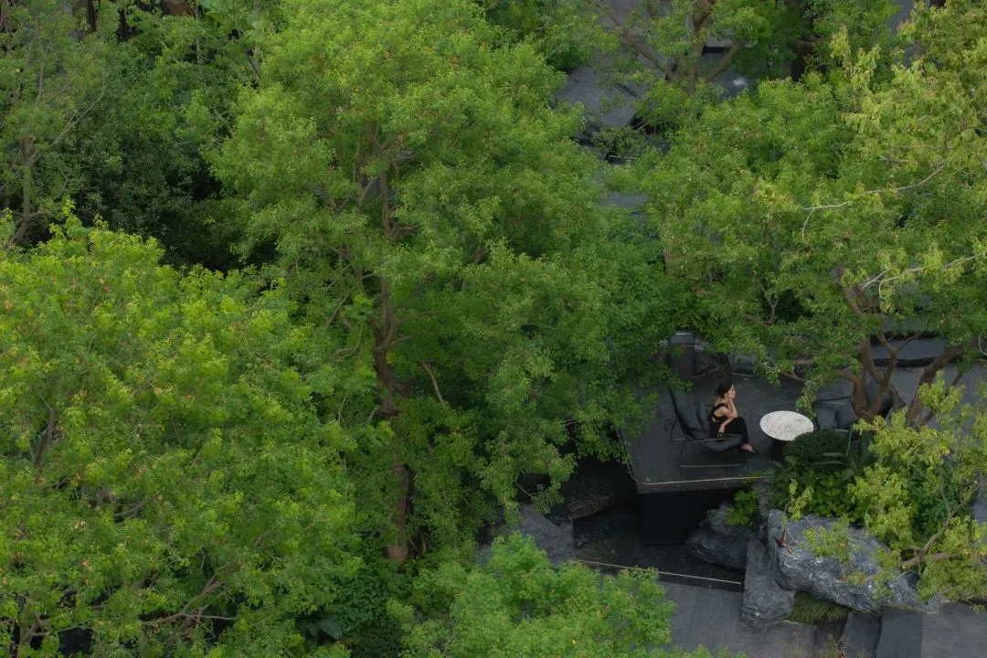 1734578437245758.jpg 1734578372858.jpg