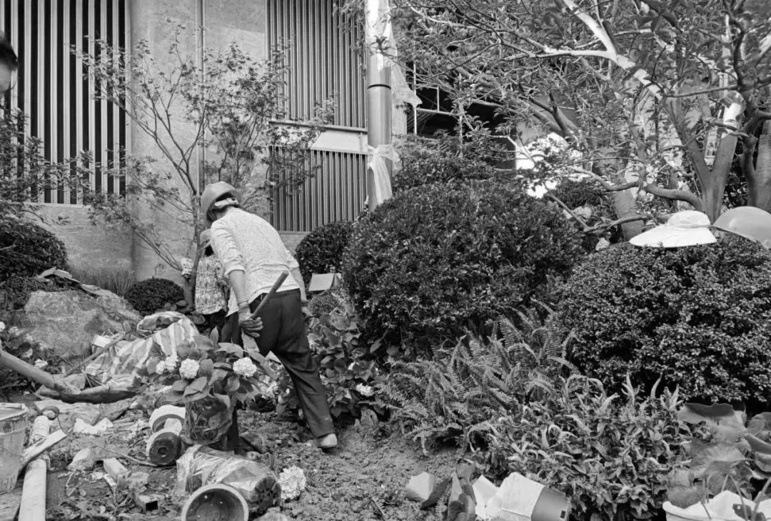 1734578467111128.png 704e4e6609c66b1d4f5bb408fedf93d.png