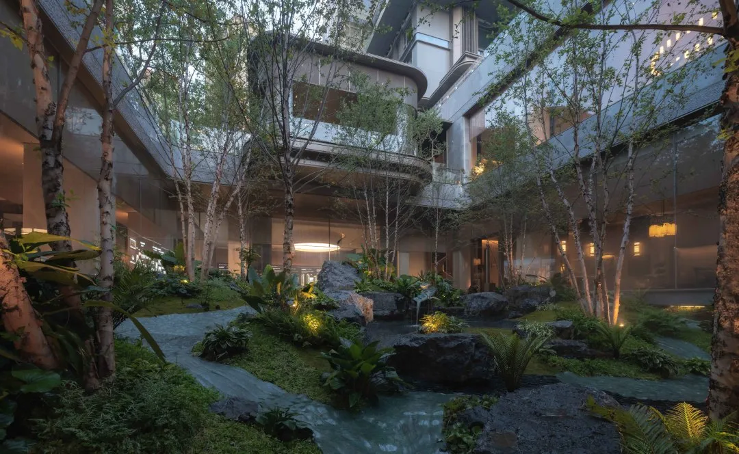 1734579547968063.jpg 1734579541893.jpg