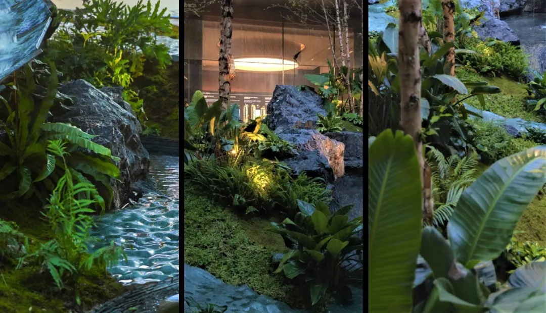 1734579855142416.jpg 1734579819897.jpg