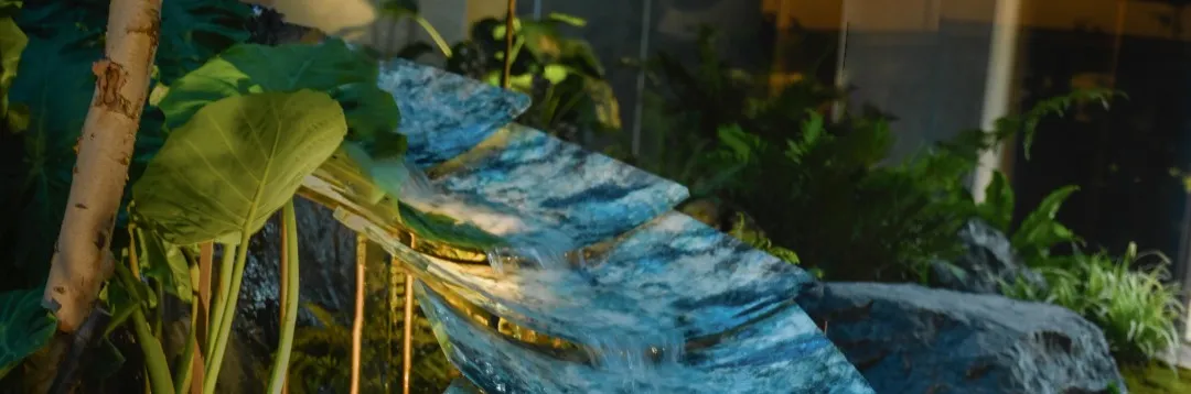 1734579864349915.jpg 1734579822949.jpg