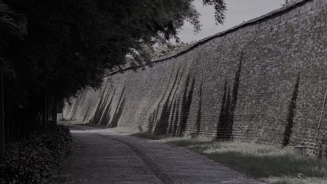 1734597061122860.jpg 1734596992926.jpg