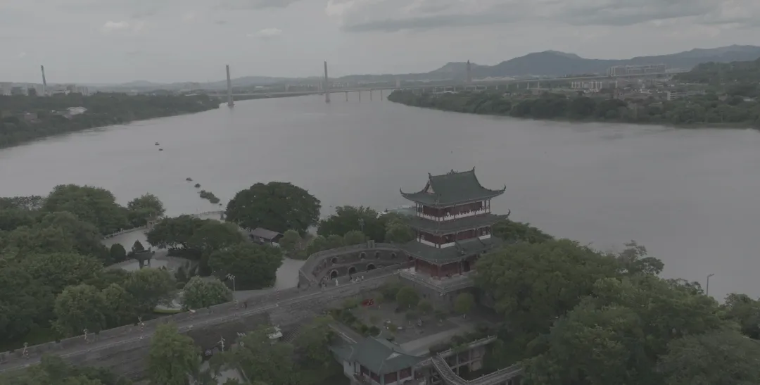 1734597075659500.jpg 1734596996651.jpg