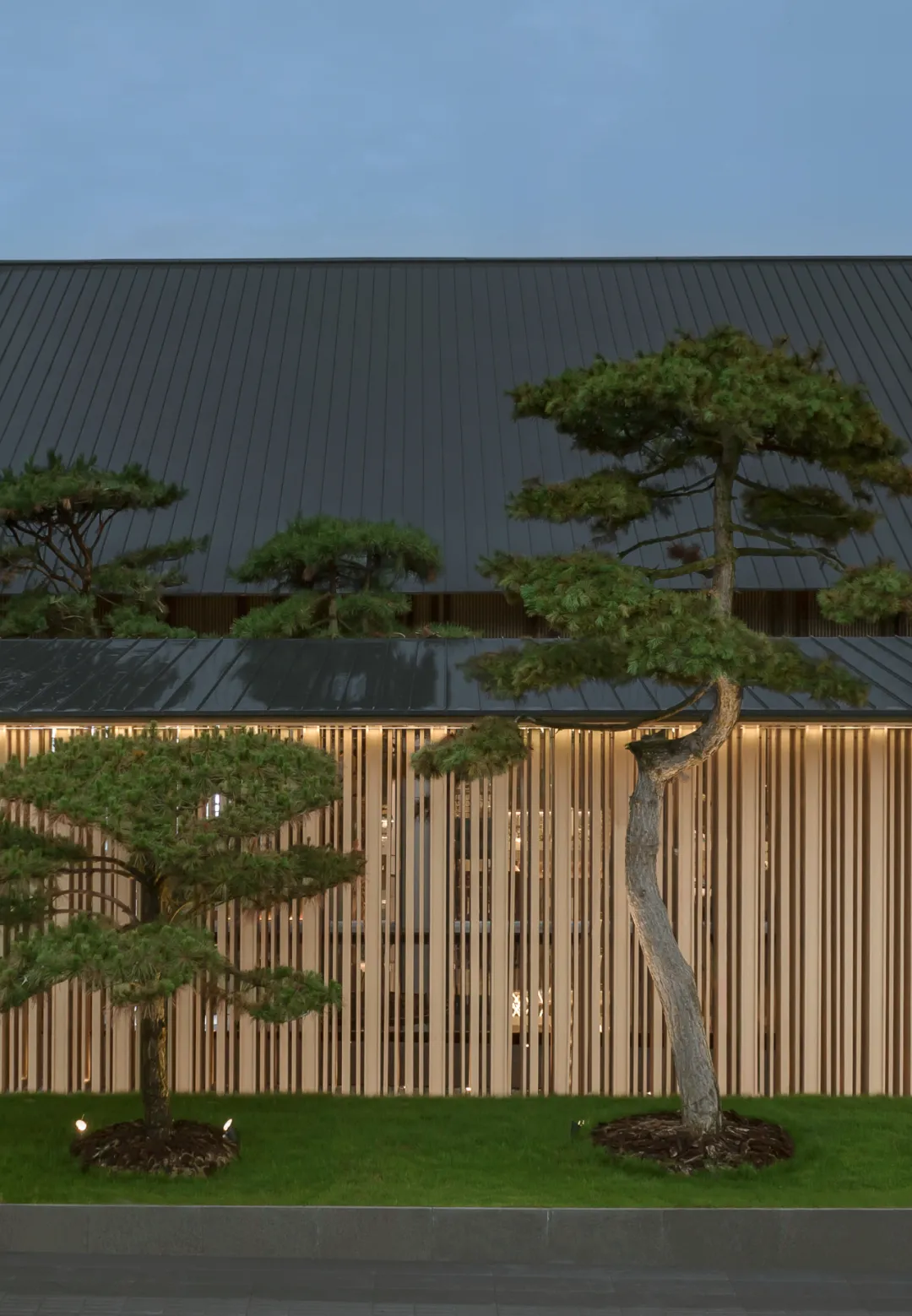 1734597165118690.jpg 1734597115910.jpg