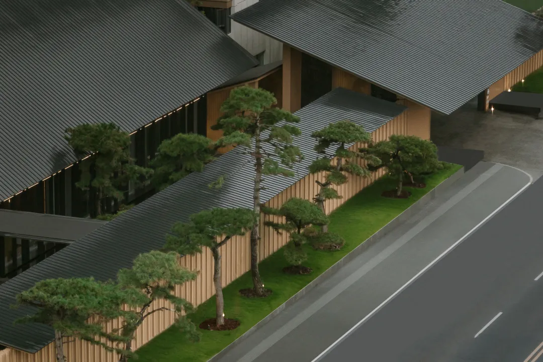 1734597194260734.jpg 1734597121839.jpg