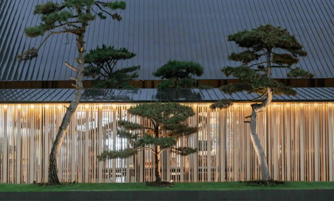 1734597219132900.jpg 1734597125597.jpg