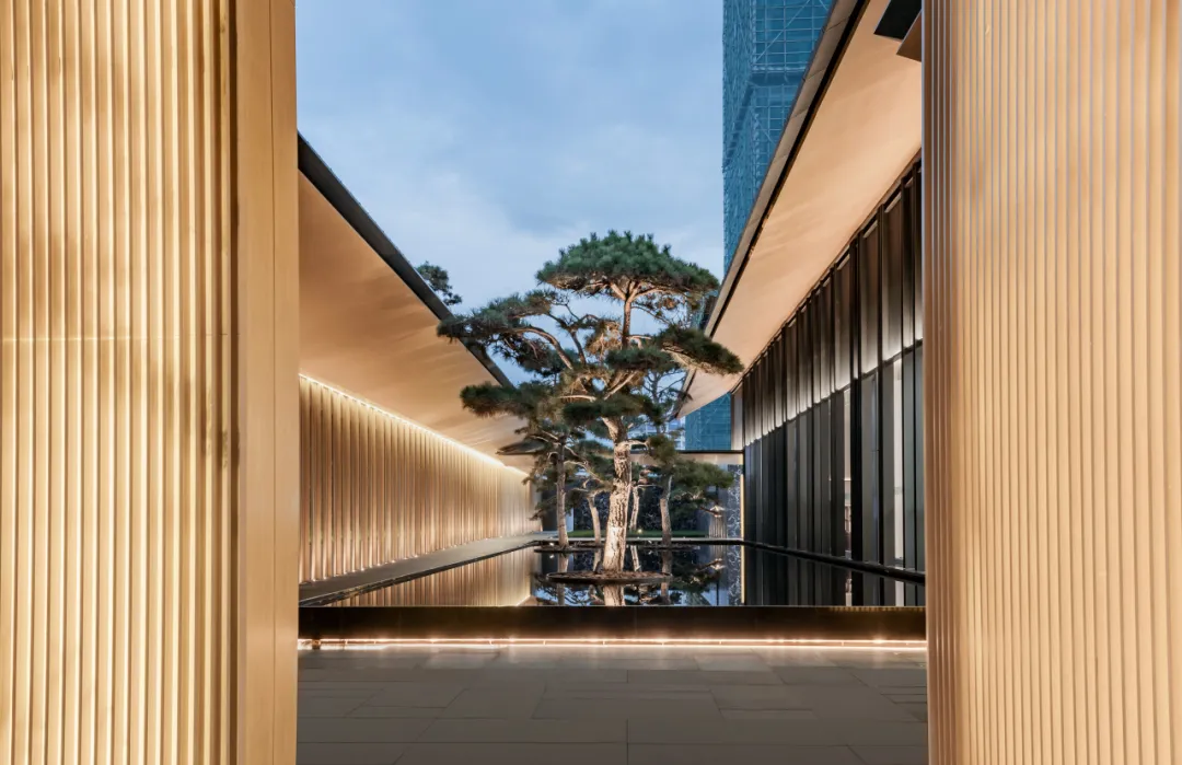 1734597325164174.jpg 1734597315386.jpg