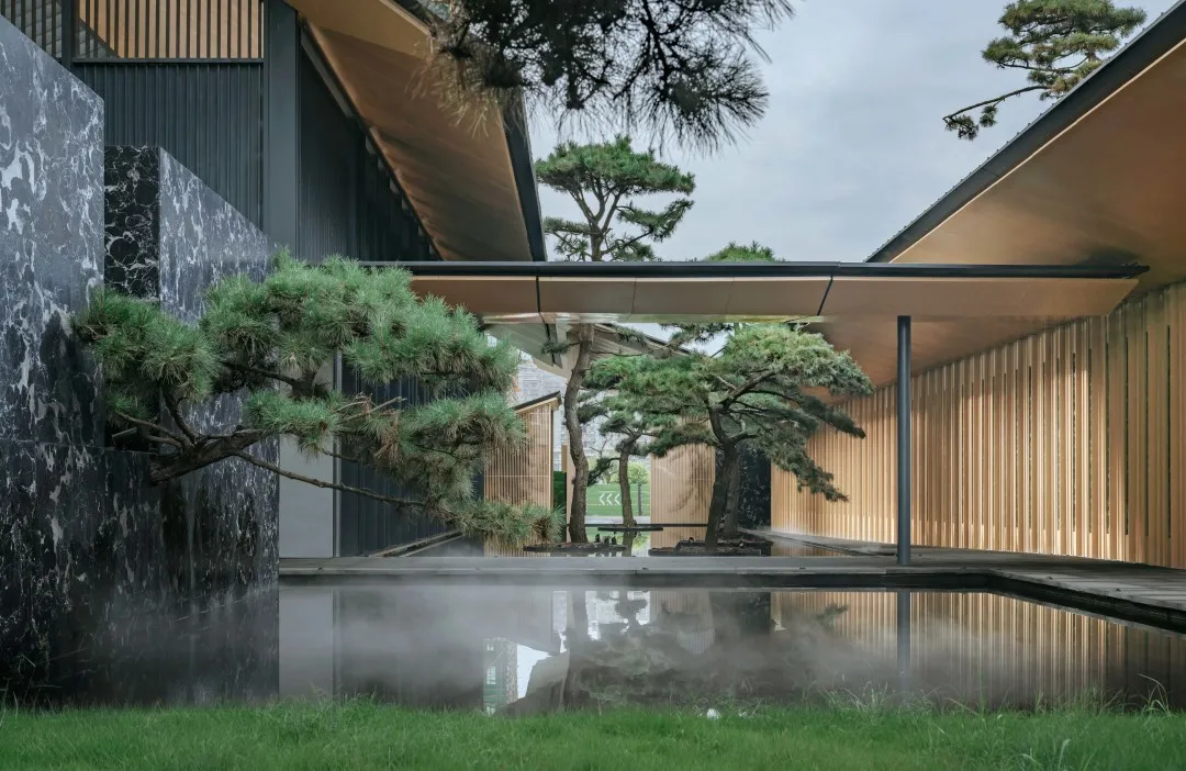 1734597387781827.jpg 1734597345413.jpg